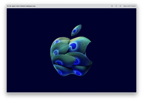 Новые обои от Apple с павлиньим пером в честь открытия магазина в Индии