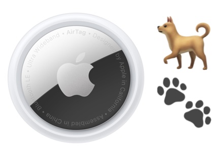 Используем AirTag для собак: следим за питомцем и меньше переживаем
